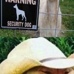 Sheep | image tagged in what in tarnation dog,sheep,funny,memes,you had one job,you had one job just the one | made w/ Imgflip meme maker