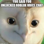 you said you :robloxsymbol: | YOU SAID YOU UNLOCKED ROBLOX VOICE CHAT | image tagged in you said,roblox | made w/ Imgflip meme maker