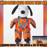 NASA ARTEMIS 1 or DOGELON MARS? $ELON | WHO DOES NASA THINK THEY ARE; SENDING DOGS TO THE MOON & ON TO MARS? | image tagged in snoopy moon then mars,elon musk,mars,cryptocurrency,nasa,spacex | made w/ Imgflip meme maker