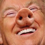 TRUMP PIG meme