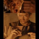 Frodo wearing ring template