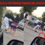 Rittenhouse fight girl meme