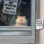 DONT LET THE CAT OUT | I KNOW WHERE YOUR DAD IS | image tagged in dont let the cat out | made w/ Imgflip meme maker