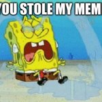 when someone steals your meme | YOU STOLE MY MEME | image tagged in cryin | made w/ Imgflip meme maker