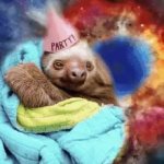 Sloth party gif meme