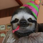 birthday sloth
