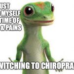 Chiropractic | I JUST SAVED MYSELF A LIFETIME OF ACHES & PAINS; BY SWITCHING TO CHIROPRACTIC | image tagged in the gecko is always right | made w/ Imgflip meme maker