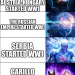 Expanding brain meme long version | GERMANY STARTED WW1; AUSTRIA-HUNGARY STARTED WW1; THE RUSSIAN EMPIRE STARTED WW1; SERBIA STARTED WW1; GARILLO PRINCIP; BOSNIA STARTED WW1 | image tagged in expanding brain meme long version | made w/ Imgflip meme maker