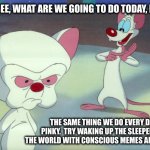life is like | GEE, WHAT ARE WE GOING TO DO TODAY, BRAIN? THE SAME THING WE DO EVERY DAY, PINKY.  TRY WAKING UP THE SLEEPERS OF THE WORLD WITH CONSCIOUS MEMES AND STUFF.... | image tagged in pinky and the brain | made w/ Imgflip meme maker
