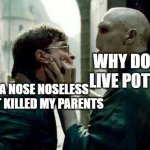 Voldemort and Harry | WHY DO YOU LIVE POTTAH? I HAVE A NOSE NOSELESS MAN THAT KILLED MY PARENTS | image tagged in voldemort and harry | made w/ Imgflip meme maker