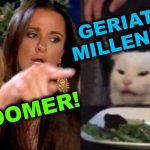 truth hurts | GERIATRIC
MILLENNIAL! OK BOOMER! | image tagged in woman yelling at cat cropped,millennials,ok boomer,savage memes,dark humor,aging | made w/ Imgflip meme maker