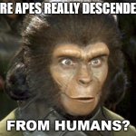 Are apes really descended from humans? | ARE APES REALLY DESCENDED; FROM HUMANS? | image tagged in planet of the apes zira | made w/ Imgflip meme maker