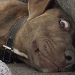 Overthrow government