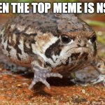 really? | WHEN THE TOP MEME IS NSFW | image tagged in memes,grumpy toad | made w/ Imgflip meme maker