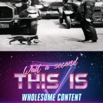 Wait a second this is wholesome content | image tagged in wait a second this is wholesome content,wholesome,cat,1925,officer | made w/ Imgflip meme maker