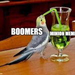 Big Sip | MINION MEMES BOOMERS | image tagged in big sip | made w/ Imgflip meme maker