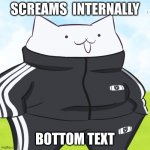 drip cat | SCREAMS  INTERNALLY; BOTTOM TEXT | image tagged in drip cat | made w/ Imgflip meme maker