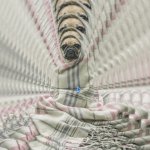 pug in a rug GIF Template