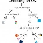 Choosing an OS meme