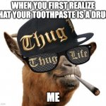 thug life camel | WHEN YOU FIRST REALIZE THAT YOUR TOOTHPASTE IS A DRUG:; ME | image tagged in thug life camel | made w/ Imgflip meme maker