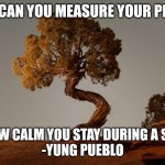 Measuring peace | HOW CAN YOU MEASURE YOUR PEACE? BY HOW CALM YOU STAY DURING A STORM
-YUNG PUEBLO | image tagged in spiritual moab tree | made w/ Imgflip meme maker