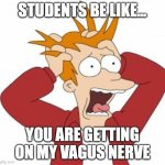 Fry Freaking Out | STUDENTS BE LIKE... YOU ARE GETTING ON MY VAGUS NERVE | image tagged in fry freaking out | made w/ Imgflip meme maker