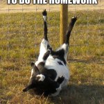 Fainting Goat | WHEN YOU FORGOT TO DO THE HOMEWORK | image tagged in fainting goat | made w/ Imgflip meme maker