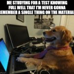 On the internet nobody knows you are a dog | ME STUDYING FOR A TEST KNOWING FULL WELL THAT I'M NEVER GONNA REMEMBER A SINGLE THING ON THE MATERIAL: | image tagged in on the internet nobody knows you are a dog | made w/ Imgflip meme maker