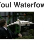 Foul Waterfoul | image tagged in foul waterfoul,goose,geese,duck,memes,running | made w/ Imgflip meme maker