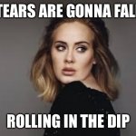 Crypto Dip | TEARS ARE GONNA FALL; ROLLING IN THE DIP | image tagged in adele | made w/ Imgflip meme maker