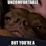 Cuddled out | WHEN YOU’RE UNCOMFORTABLE; BUT YOU’RE A PEOPLE PLEASER | image tagged in cuddled out | made w/ Imgflip meme maker