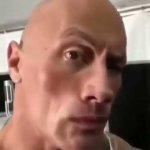 the rock eyebrow