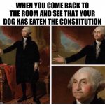 What?! | WHEN YOU COME BACK TO THE ROOM AND SEE THAT YOUR DOG HAS EATEN THE CONSTITUTION | image tagged in george washington,washington,founding fathers,dog,constitution,memes | made w/ Imgflip meme maker
