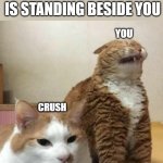 I and My Crush | WHEN YOUR CRUSH IS STANDING BESIDE YOU; YOU; CRUSH | image tagged in i and my crush | made w/ Imgflip meme maker