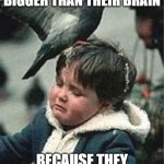 Bird poop brains | BIRD'S POOP IS BIGGER THAN THEIR BRAIN; BECAUSE THEY HAVE SHITTY IDEAS | image tagged in bird poop blues | made w/ Imgflip meme maker