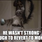 Only half | HE WASN'T STRONG ENOUGH TO REVERT TO MONKEY | image tagged in puppy monkey baby | made w/ Imgflip meme maker