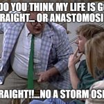 rivers | HOW DO YOU THINK MY LIFE IS GOING?
STRAIGHT... OR ANASTOMOSING; STRAIGHT!!...NO A STORM OSING | image tagged in van down by the river | made w/ Imgflip meme maker