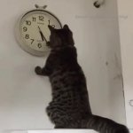 Clock Cat GIF Template