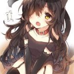 neko