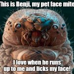 Face mite pet | This is Benji, my pet face mite. I love when he runs up to me and licks my face! | image tagged in face mite | made w/ Imgflip meme maker