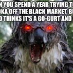 I Had to Learn Italian to Buy that From the Mafia | WHEN YOU SPEND A YEAR TRYING TO GET A BAZOOKA OFF THE BLACK MARKET, BUT YOUR STUPID KID THINKS IT'S A GO-GURT AND WASTES IT | image tagged in memes,angry koala,black market | made w/ Imgflip meme maker