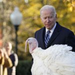 Introspective Joe Biden and Instrospective Turkey meme