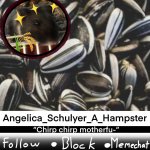Angelica_Schulyer_A_Hampster's temp