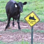cow tipping zone meme