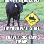 tip your wait staff or me | DON'T TIP THE COWS; TIP YOUR WAIT STAFF; OR; I HAVE A CASH.APP
TIP ME | image tagged in cow tipping zone | made w/ Imgflip meme maker