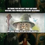 Catdalf | NO THANK YOU! WE DON'T WANT ANY MORE VISITORS, WELL-WISHERS OR DISTANT RELATIONS! AND WHAT ABOUT VERY OLD FELINE FRIENDS? CATDALF | image tagged in gandalf bilbo,gandalf cat | made w/ Imgflip meme maker