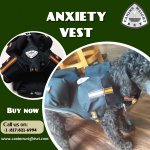 Anxiety vest