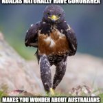 Australians are Freaks | KOALAS NATURALLY HAVE GONORRHEA; MAKES YOU WONDER ABOUT AUSTRALIANS | image tagged in wondering wandering falcon,lets eat it,no wait | made w/ Imgflip meme maker
