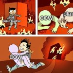 House fire | plant; cow; that vegan teacher; cow | image tagged in house fire | made w/ Imgflip meme maker