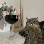 Cat with Wine